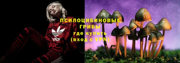 героин Бородино