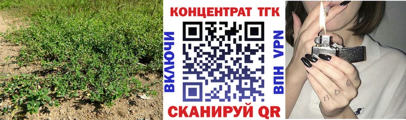 ТГК гашишное масло  Купить  Рудня 